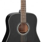 Takamine GD30