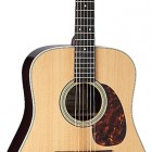 Takamine EF360S-TT