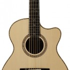 Martin Simpson Private Stock