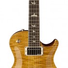 P245 Semi-Hollow