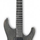 Ibanez PWM100