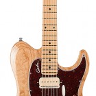 Godin Passion Custom Swamp Ash