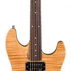 Godin Passion RG-2