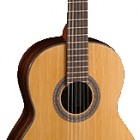 Cort AC250