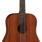 AXS Dreadnought 12 String (2016)