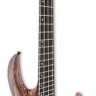 ESP B-1004SE Multi Scale