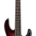 ESP AP-204