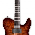 ESP TE-401FM