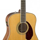 Fender PM-1 Standard Dreadnought