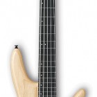 Ibanez GWB205E