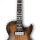 Ibanez AGBV200A