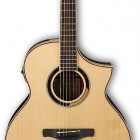 Ibanez AEW51