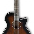 Ibanez AEG1812II