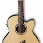 Ibanez AELFF10