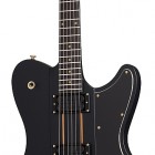 Schecter Dan Donegan Ultra