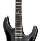 Trans Black Burst