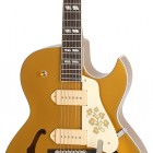 Limited Edition ES-295 Premium