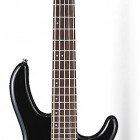 review cort bass action