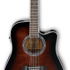 Dark Violin Sunburst High Gloss