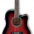 Transparent Red Sunburst High Gloss