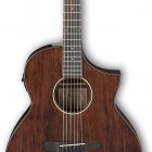 Ibanez AEW40CD