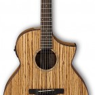 Ibanez AEW40ZW