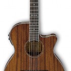 Ibanez AEG12II