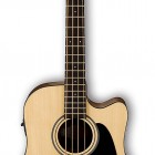 Ibanez AWB50CE