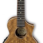 Ibanez UEWT14E