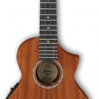 Ibanez UEWT5E