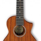 Ibanez UEWT5