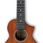 Ibanez UEW5