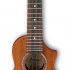 Ibanez UEWS5