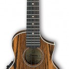 Ibanez UEW13E