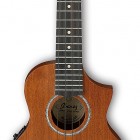 Ibanez UEW5E