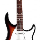 Peavey Raptor Plus