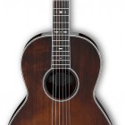 Ibanez AVN10