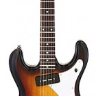 3-Tone Sunburst