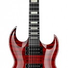 DBZ Guitars Renegade FM