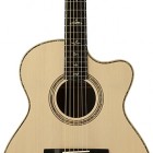 Private Stock Angelus Cutaway