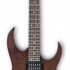 Ibanez RG421CW