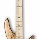 SR55SMLTD