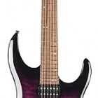 Legator Guitars Ninja 200-SE