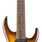 Dark Brown Burst