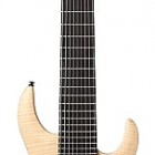 Ninja 300-PRO 9-String