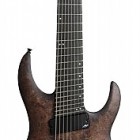 Trans Black Burl