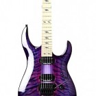 Legator Guitars Ninja R 450-LE