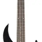 Legator Guitars Ninja 200-SE 5-String