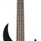 Ninja 200-SE 5-String