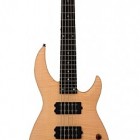 Legator Guitars Ninja 300-PRO 5-String